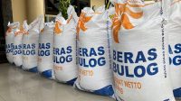 Peran pemerintah terhadap beras Bulog