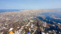 lautan sampah yang mengakibatkan polusi pencemaran terhadap laut karena ulah manusia yang sengaja membuang sampah dalam bentuk plastik