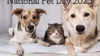 pet parenting 2025