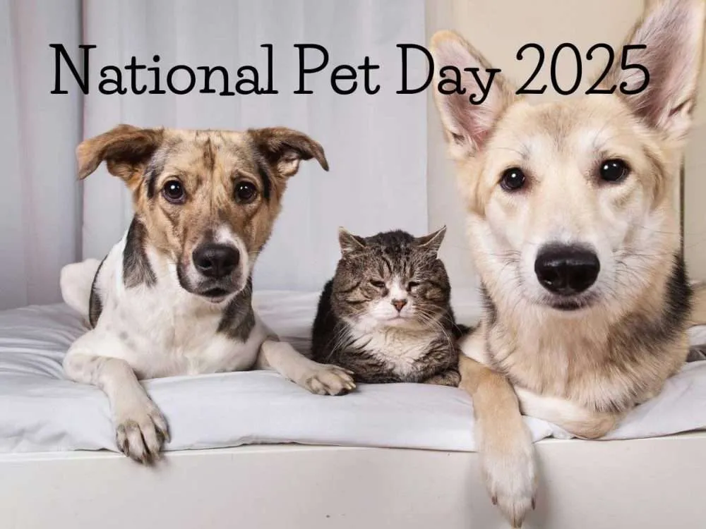 pet parenting 2025