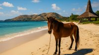Pulau Sumba menawarkan kombinasi sempurna antara alam liar, budaya megalitik, dan tradisi unik. Dengan pantai yang eksotis, kuda sandel yang ikonik, serta warisan megalitik yang hidup hingga kini, Sumba menjadi destinasi yang tidak hanya indah, tetapi juga penuh makna. Pulau Sumba menawarkan kombinasi sempurna antara alam liar, budaya megalitik, dan tradisi unik. Dengan pantai yang eksotis, kuda sandel yang ikonik, serta warisan megalitik yang hidup hingga kini, Sumba menjadi destinasi yang tidak hanya indah, tetapi juga penuh makna.